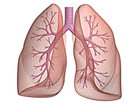 һ��������HPV��Ⱦ